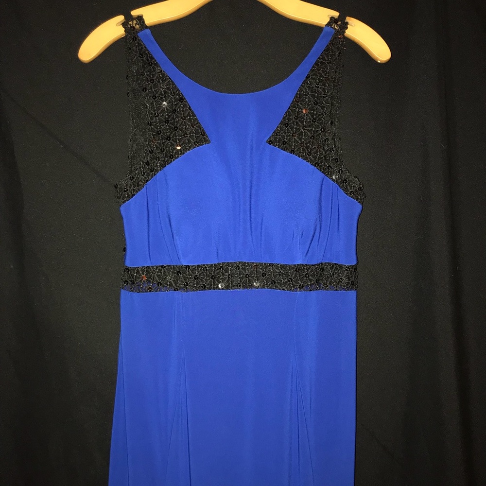 Beautiful gown from Cache! - Picture 3 of 6